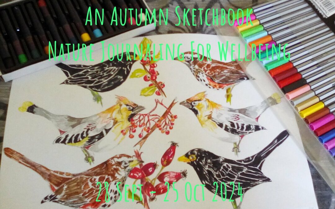 An Autumn Sketchbook: Nature Journaling For Wellbeing