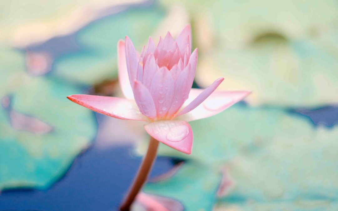 Introduction to Mindfulness