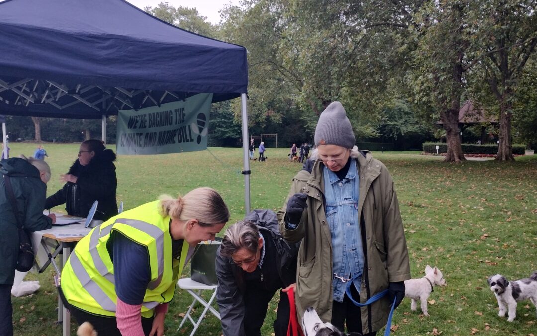 Silver Sunday Animal Welfare & Dog Show