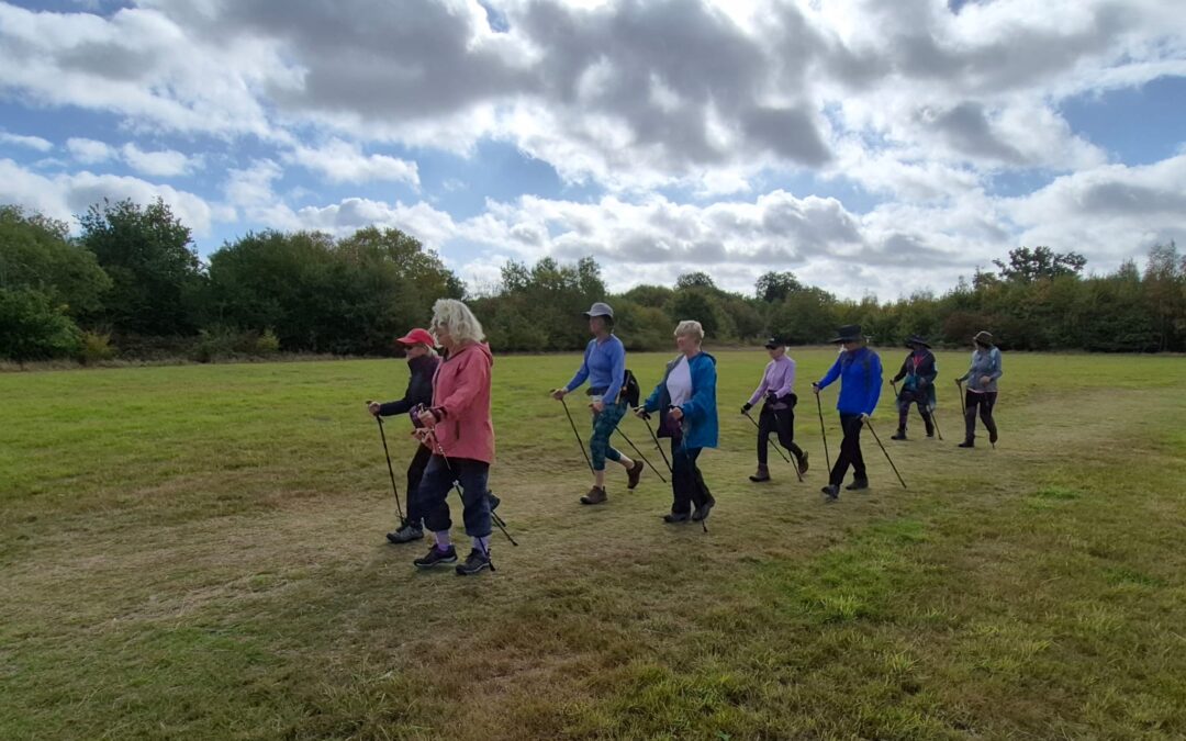WALX Introduction to walking with Poles